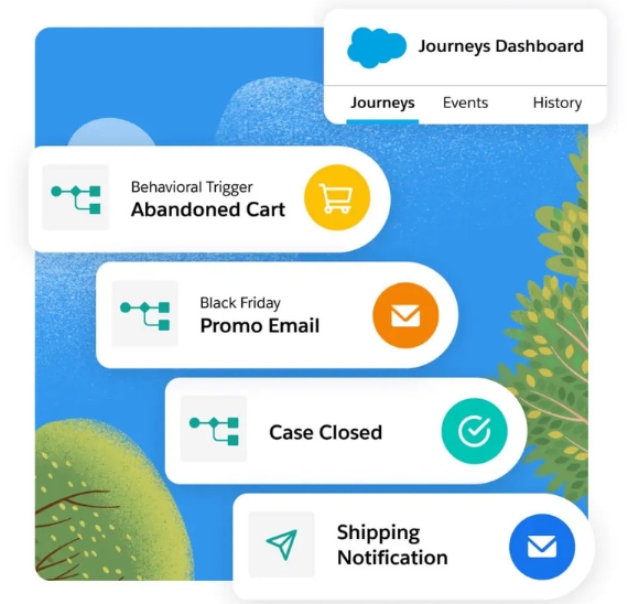 dynamic website
